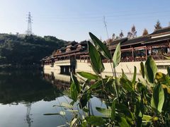 -重庆彩云湖湿地公园