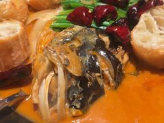-拾久(朝阳公园店)