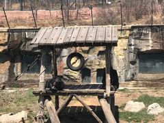 -大连森林动物园