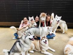 -TrueLove @ Neverland (Husky Cafe)