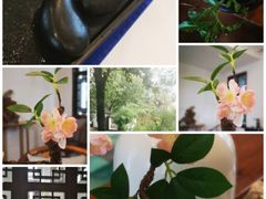 -花溪公园