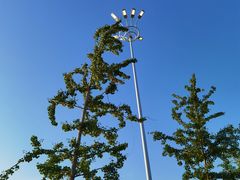 -丁香湖公园