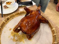 -永記粤菜·五指毛桃花雕鸡煲(九亭店)