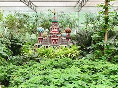 -南宫五洲植物乐园