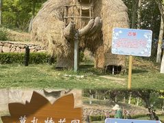 -静之湖度假区