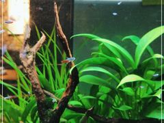 -渔寿司·日本料理(艾尚天地店)