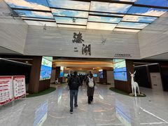 -溱湖国家湿地公园