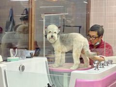 -FAELING PETS美天灵宠物(富力广场店)
