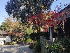 -吴山景区