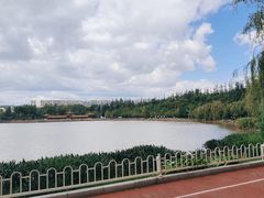 -洛龙公园