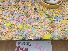 -藦茜花园宠物主题亲子互动体验馆(国顺东路店)