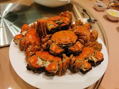 -王宝和酒家(黄浦店)