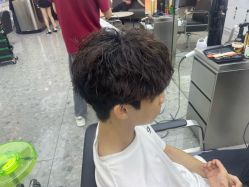 -藤野造型