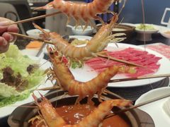 -澳门豆捞(裕华东路店)