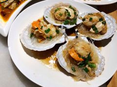 扇贝-华盛丰温州大排档(东三环南路店)