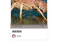 -肥福排档(星光店)