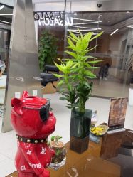 -优加东京秀烫染SALON