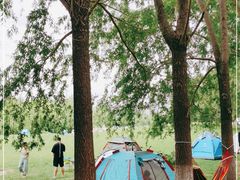 -长白岛森林公园