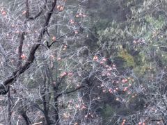 -狼牙山风景区