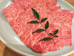 -然锅料理