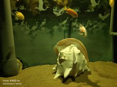 -欢乐海岸海洋奇梦馆