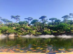 -罗红摄影艺术馆