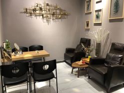 -三只熊皮肤管理中心