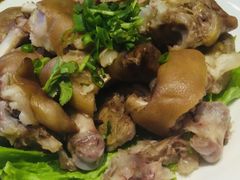 -柴火大院烤鸭民间菜