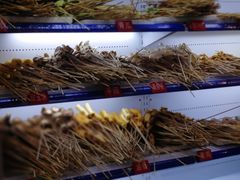 -钢管厂五区小郡肝串串香(南山店)