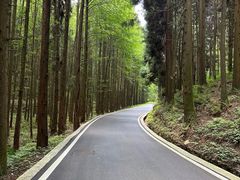 -山王坪喀斯特国家生态公园