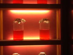 -羡餐厅·杭帮菜·淳菜(千岛湖自由洲际殿店)
