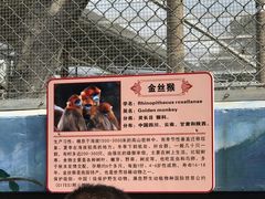 -西安秦岭野生动物园