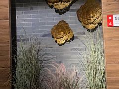 -Dragonfly 悠庭·按摩Spa(苏州中心广场店)