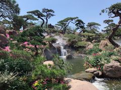 -罗红摄影艺术馆