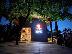 -紫金山山顶公园