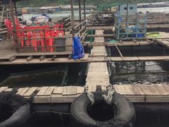 -海上驿站渔家菜馆