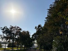 -金银湖国家城市湿地公园