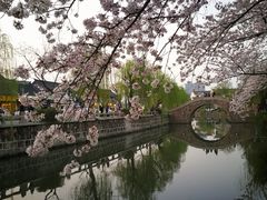 -常熟方塔园