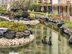 -梧桐人家中国太平国际健康颐养社区