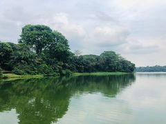 -河川生态园