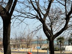 -在海一方公园