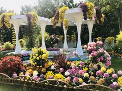 -上海共青森林公园