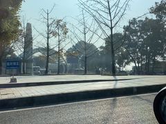 -南山植物园