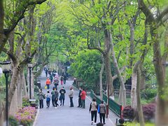 -苏堤停车场