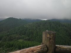 -武陵山森林公园