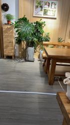-七色田儿童摄影(静安店)
