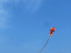 -古柏渡飞黄旅游区