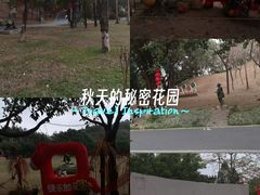 -广州雕塑公园