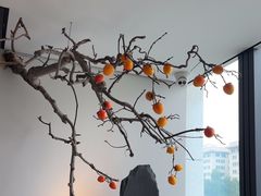 -杏花堂晋商私房菜(华熙五棵松店)