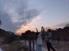 -南国桃园旅游度假区